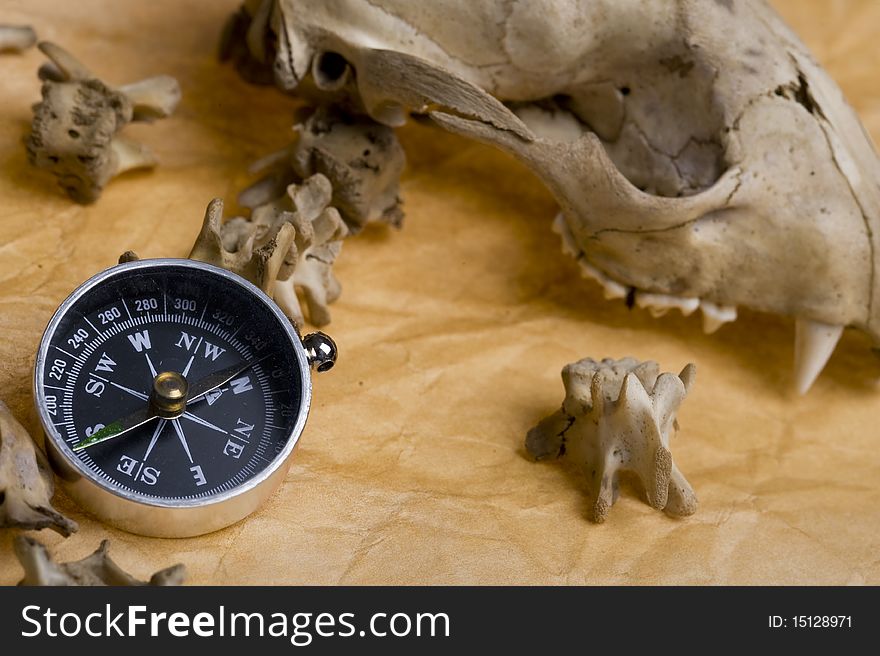 Compass And Skull