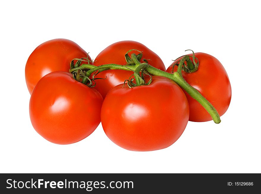 Tomatoes with green sprig isolated on white background