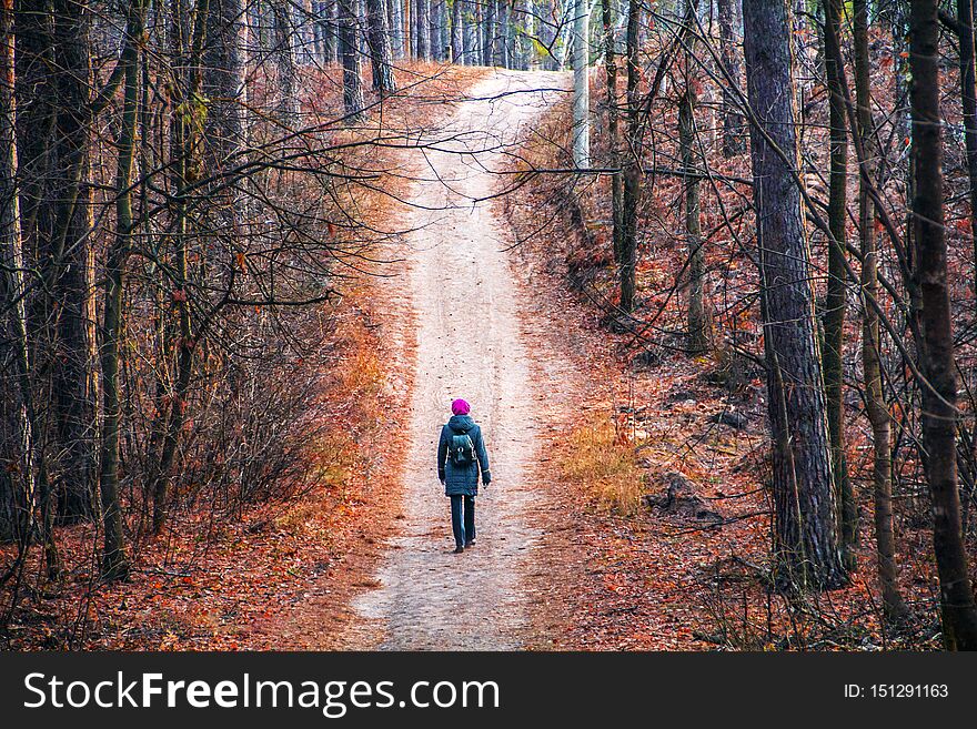 A woman walks along a path in a park in a forest in autumn in warm clothes