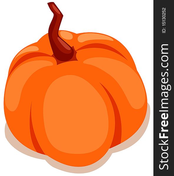 Illustration  of isolated  pumpkin on white background