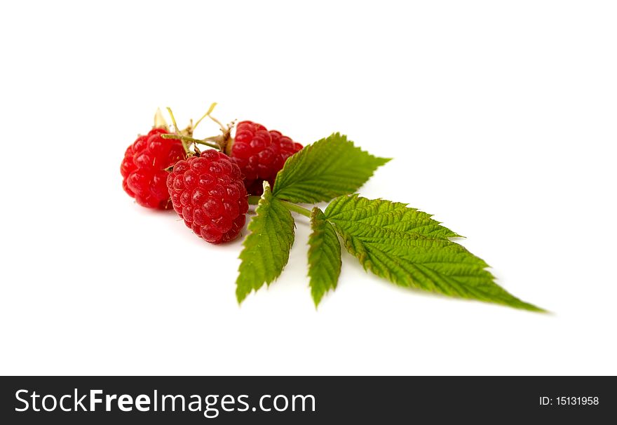 Ripe fresh raspberries with the green leaves on the white background. Ripe fresh raspberries with the green leaves on the white background