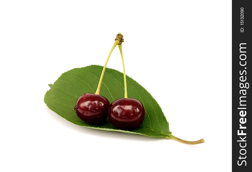 Two ripe juice cherries with water drops on the cherry leaf. Two ripe juice cherries with water drops on the cherry leaf