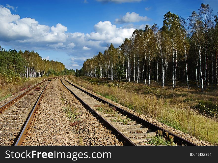 Railway line directing through forest