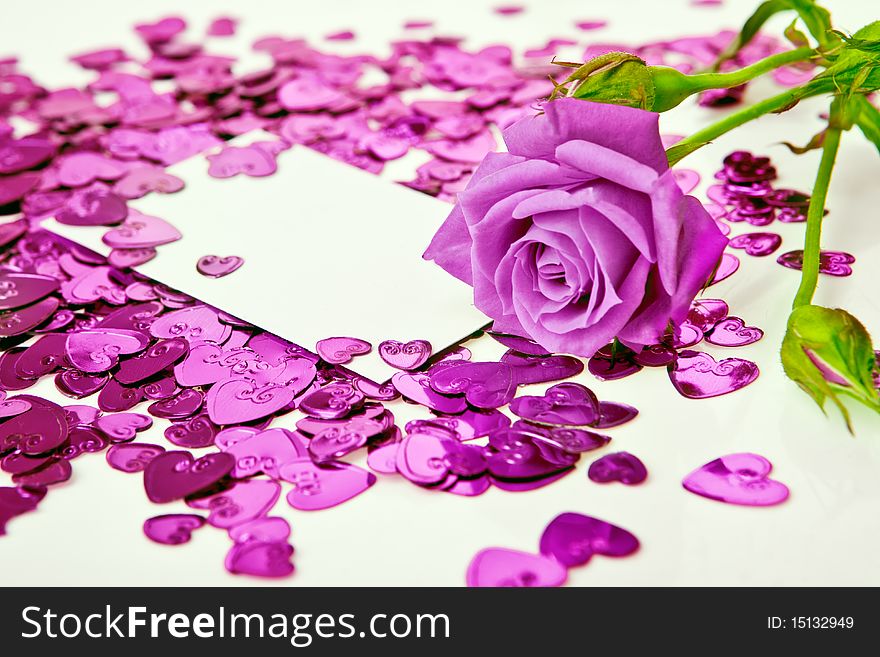 Purple rose and a blank invitation card. Purple rose and a blank invitation card