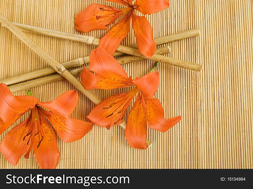 At the wooden surface orange flowers tiger lilies and bamboo sticks. At the wooden surface orange flowers tiger lilies and bamboo sticks