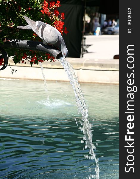 Pigeon drinking water from a fountain on a hot summer day on a marketsquare