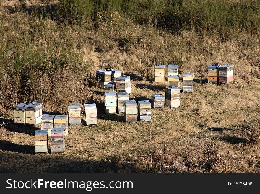 A collection of beehives and sunrise. A collection of beehives and sunrise.