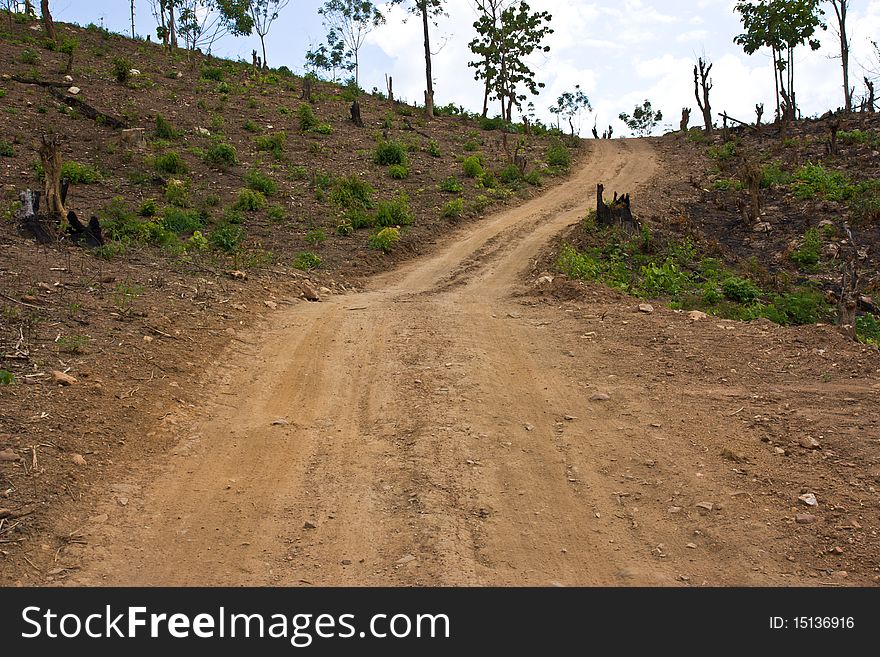 Countryside  Road