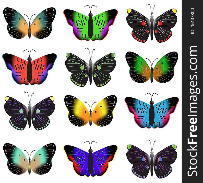 Black butterflies with bright stains. Vector illustration