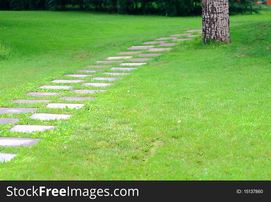 Path on the green grass