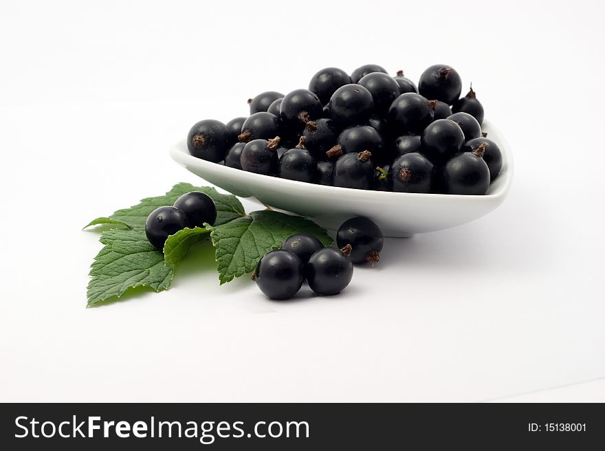 Fresh ripe black currant on a white background