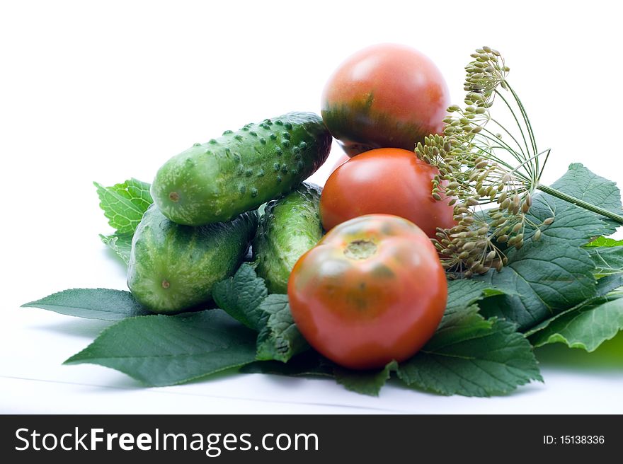 Fresh ripe tomatoes, cucumbers and spicy greens for salting on a white background. Fresh ripe tomatoes, cucumbers and spicy greens for salting on a white background