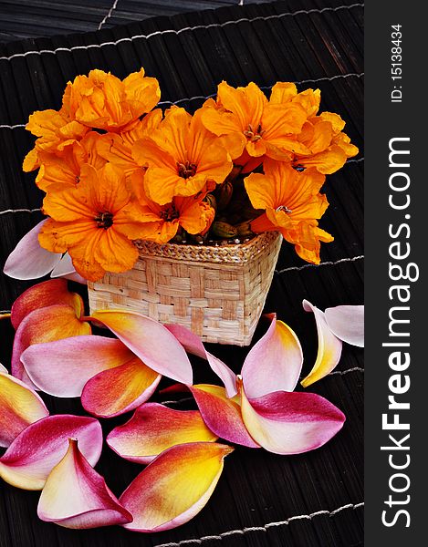 Tropical flowers on dark background. Tropical flowers on dark background