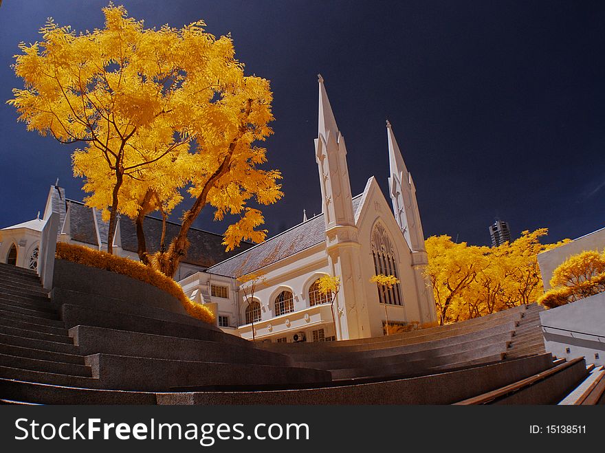 Historical church and yellow leafs