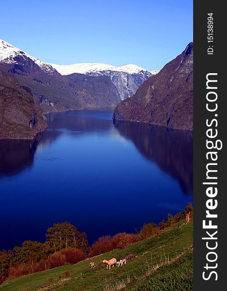 Beautiful view of the Norwegian fjord. Scenery near Flam and Aurland. Beautiful view of the Norwegian fjord. Scenery near Flam and Aurland.