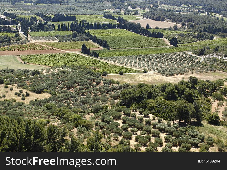 The detail of fertile land in the Provence region, France. The detail of fertile land in the Provence region, France.