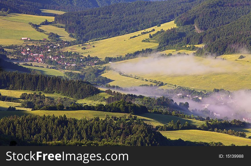 Misty Morning