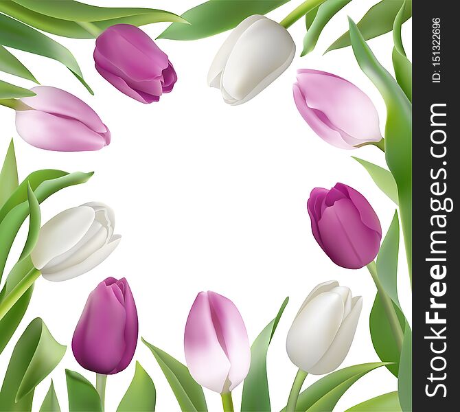 Card Template With Lilac And White Tulips