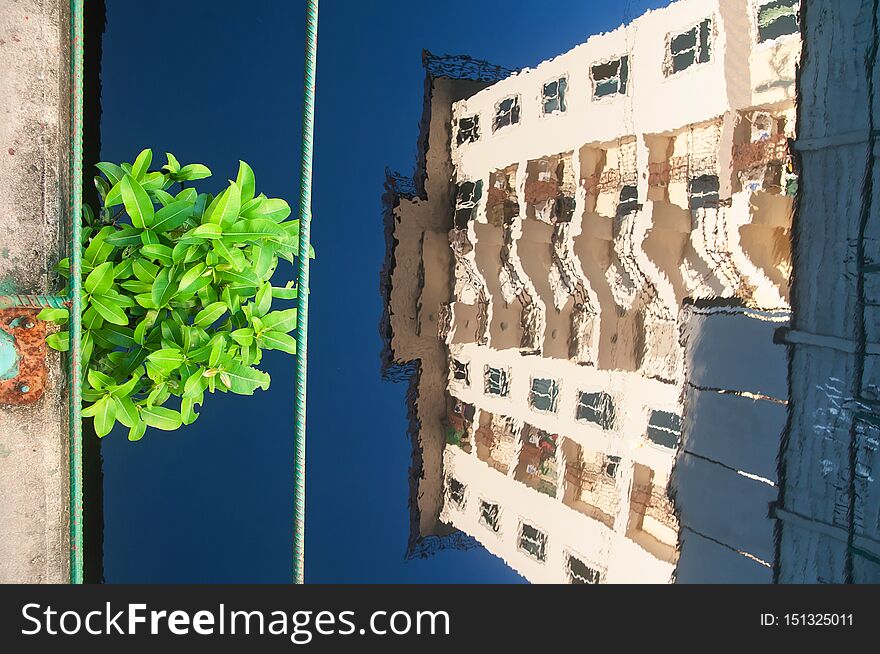 A Green Spot In Urban City, High Angle View Of A Little Green Tree Over Blue Canal