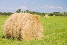 Haystacks Harvest Against The Skies Royalty Free Stock Photos