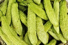 Balsam Pear Royalty Free Stock Photography Balsam Pear Royalty Free Stock Photography