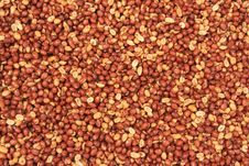Peanuts Background Royalty Free Stock Photography Peanuts Background Royalty Free Stock Photography