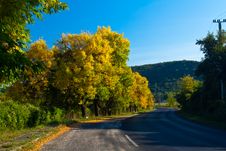 Road In Autumn Stock Photography Road In Autumn Stock Photography