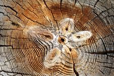 Wood Texture Royalty Free Stock Photography Wood Texture Royalty Free Stock Photography