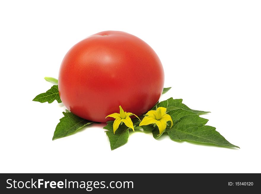 Red Tomato With Leaves And Flowers