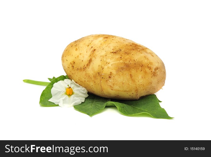 New Potato With Leaf And Flower