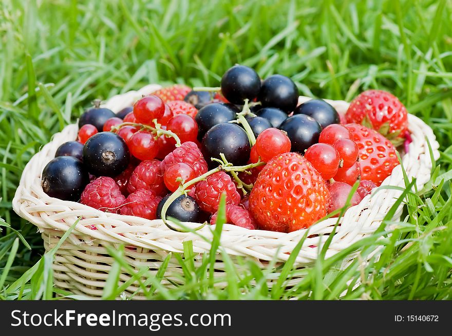 Ripe berries in a basket close up