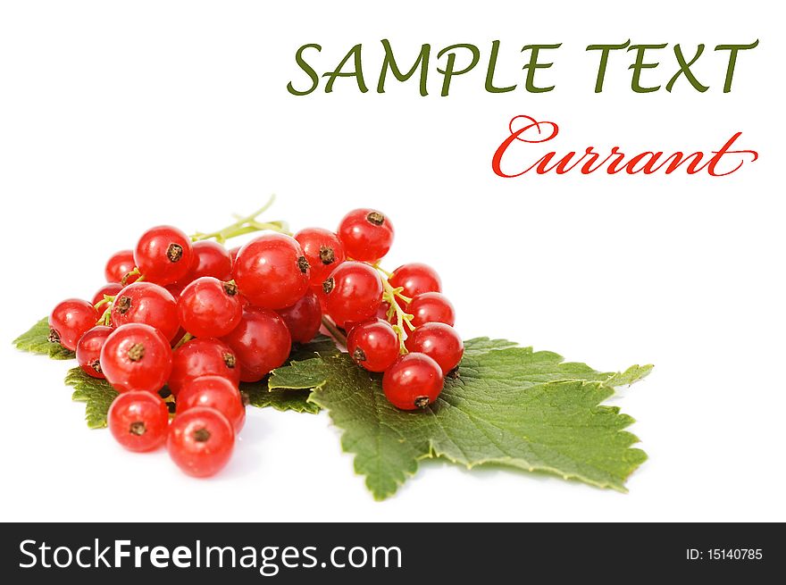 Red currant isolated on white background. Red currant isolated on white background