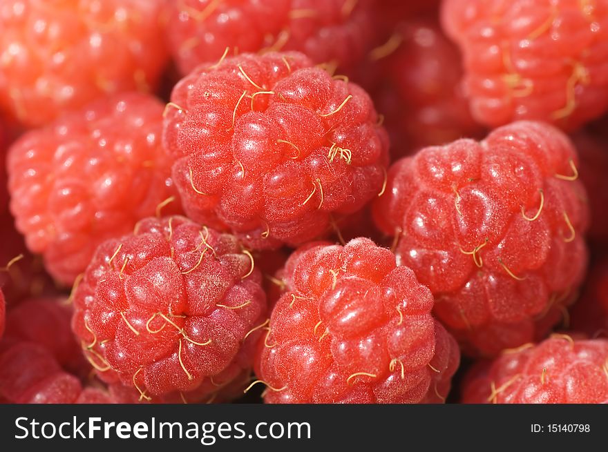Heap of a fresh raspberry. Macro