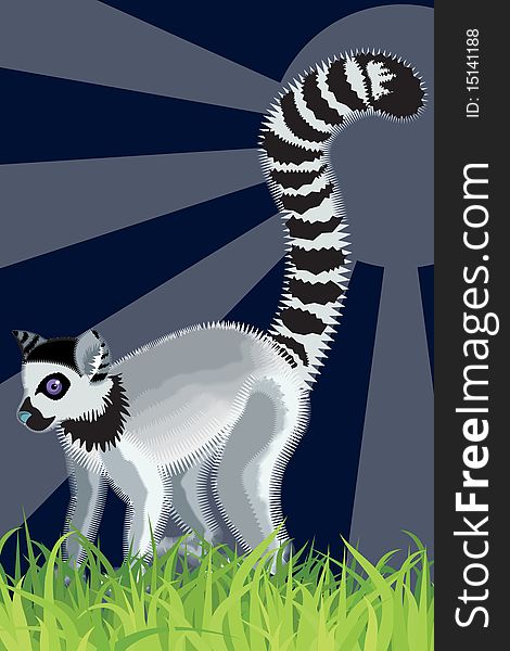 A funny looking lemur with long striped tail