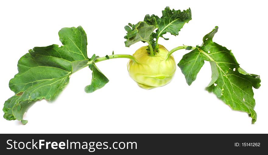 Green kohlrabi cabbage isolated on white background