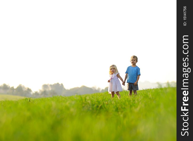 Brother and sister hold hands in the meadow, healthy happy children, copyspace provided. Brother and sister hold hands in the meadow, healthy happy children, copyspace provided