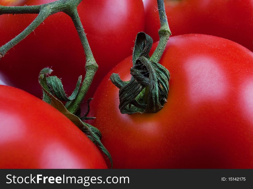 Red tomatoes on a branch close-up. Red tomatoes on a branch close-up