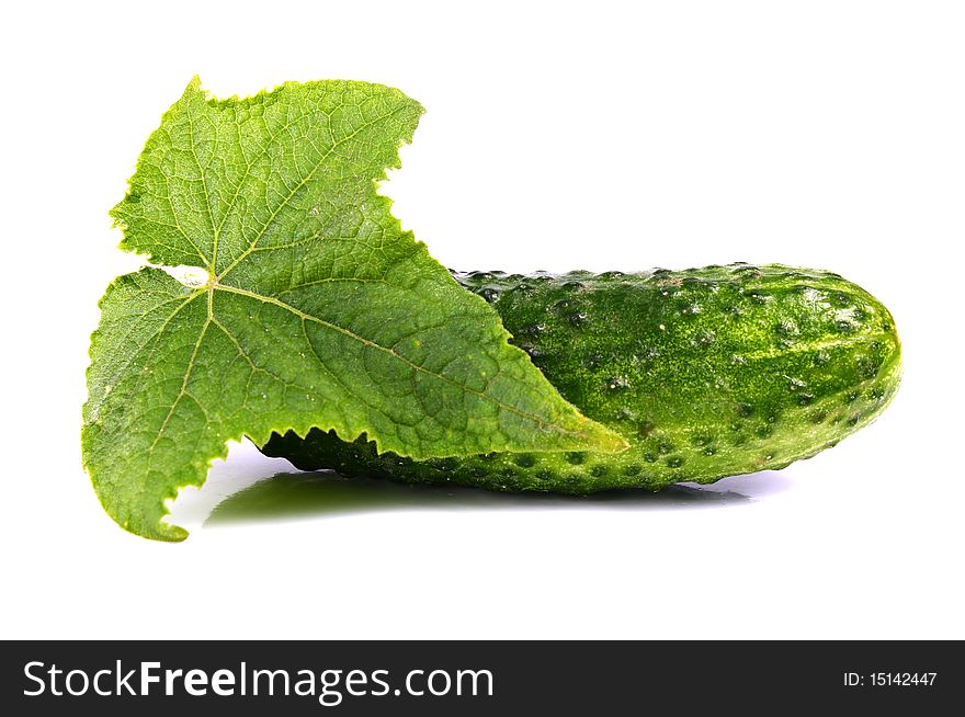 Cucumber and leaf isolated on white background