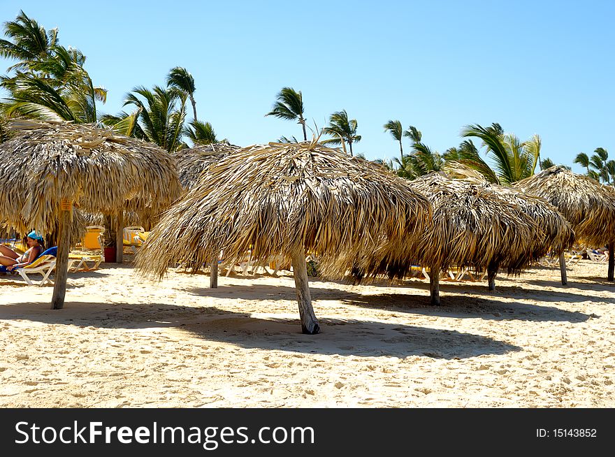 Parasols on beach