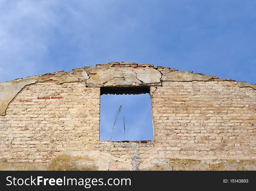 Old brick house ruins over blue sky background with grass stalks in window frame. Old brick house ruins over blue sky background with grass stalks in window frame