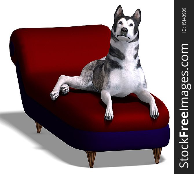 Alaskan Malamute Dog. 3D rendering with clipping path and shadow over white