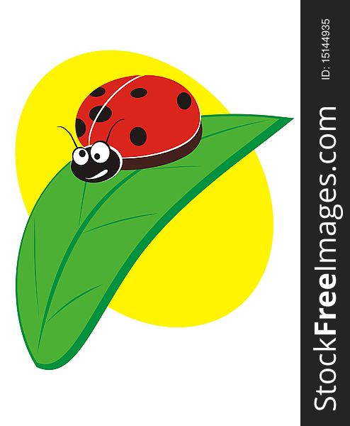 Ladybug