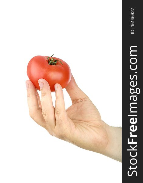 The man's hand holds a red tomato, is isolated on a white background
