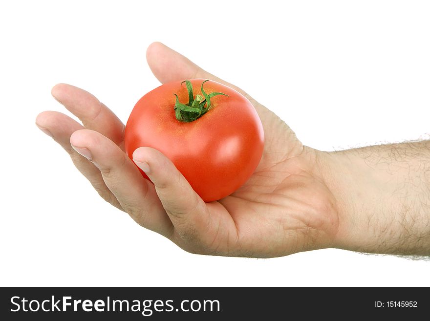 The Man S Hand Holds A Red Tomato