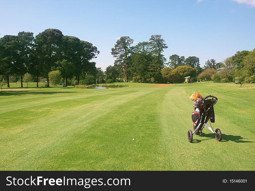 Golf course landscape - view from the fairway onto the green with golf cart and a ball