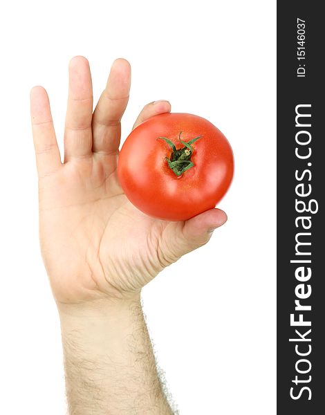 The man's hand holds a red tomato, is isolated on a white background