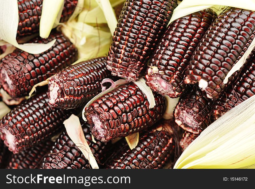 Some black sweet corn in a market