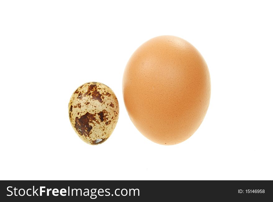 Quail and hen's eggs isolated on white