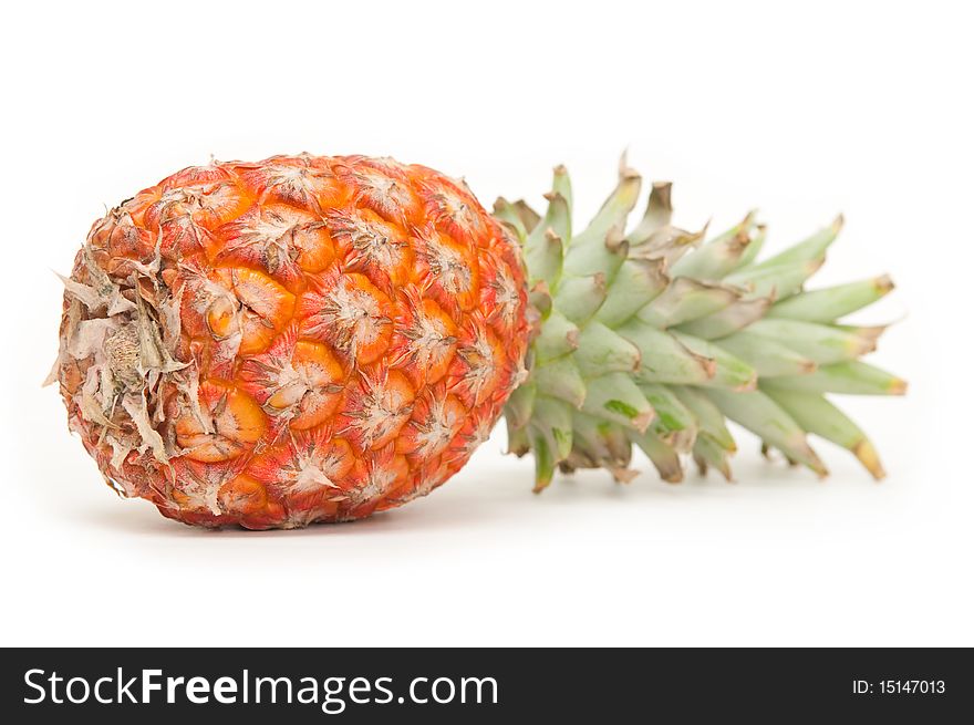 The image of ripe pineapple on a white background. The image of ripe pineapple on a white background