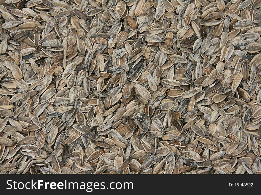 Background of salted sunflowers pips. Background of salted sunflowers pips